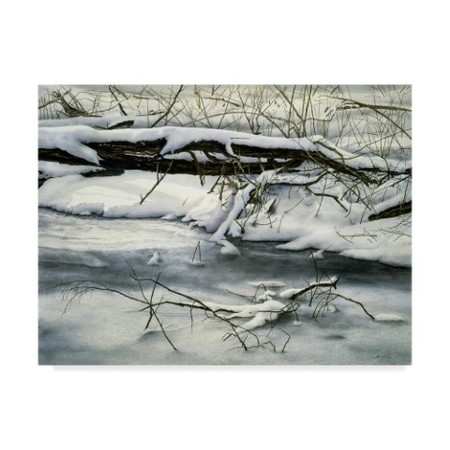 John Morrow 'Winter Walk ' Canvas Art,14x19